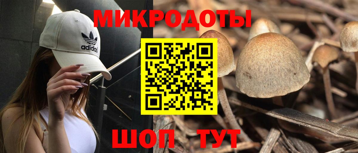 Галлюциногенные грибы мицелий Новоалтайск
