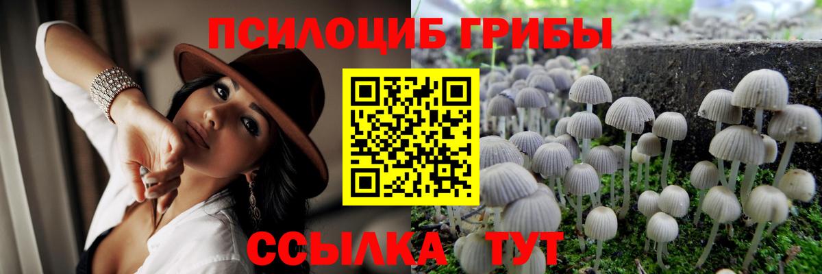 Новоалтайск  Псилоцибиновые грибы ЛСД  Вход с VPN 